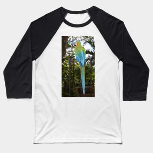 Harlequin Macaw Baseball T-Shirt